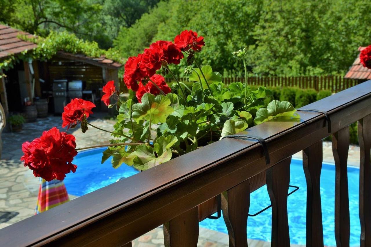 Къща Край Реката/ House By The River Vetrintsi 외부 사진
